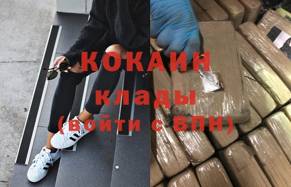 тгк Алексин