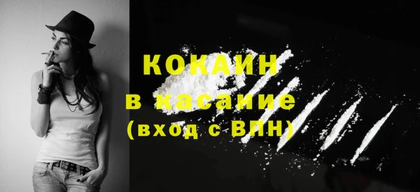 тгк Алексин