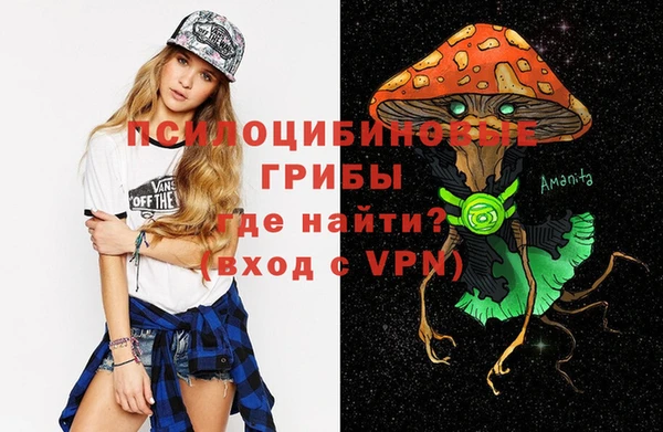 дмт Алзамай