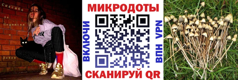 MEGA   Ува  Галлюциногенные грибы GOLDEN TEACHER 